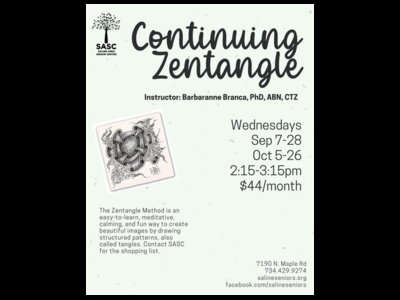 Continuing Zentangle with Instructor Barbaranne Branca at SASC
