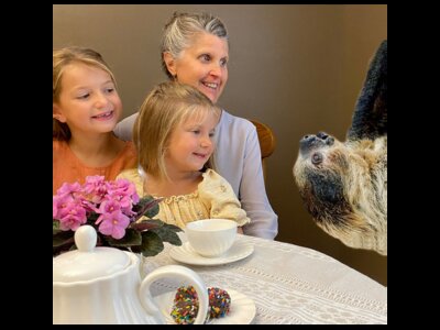 Creatures and Tea at The Creature Conservancy