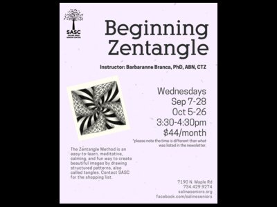 Beginning Zentangle with instructor Barbaranne Branca at SASC