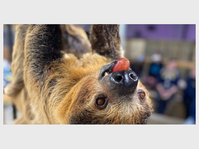 Creatures of the Night at The Creature Conservancy
